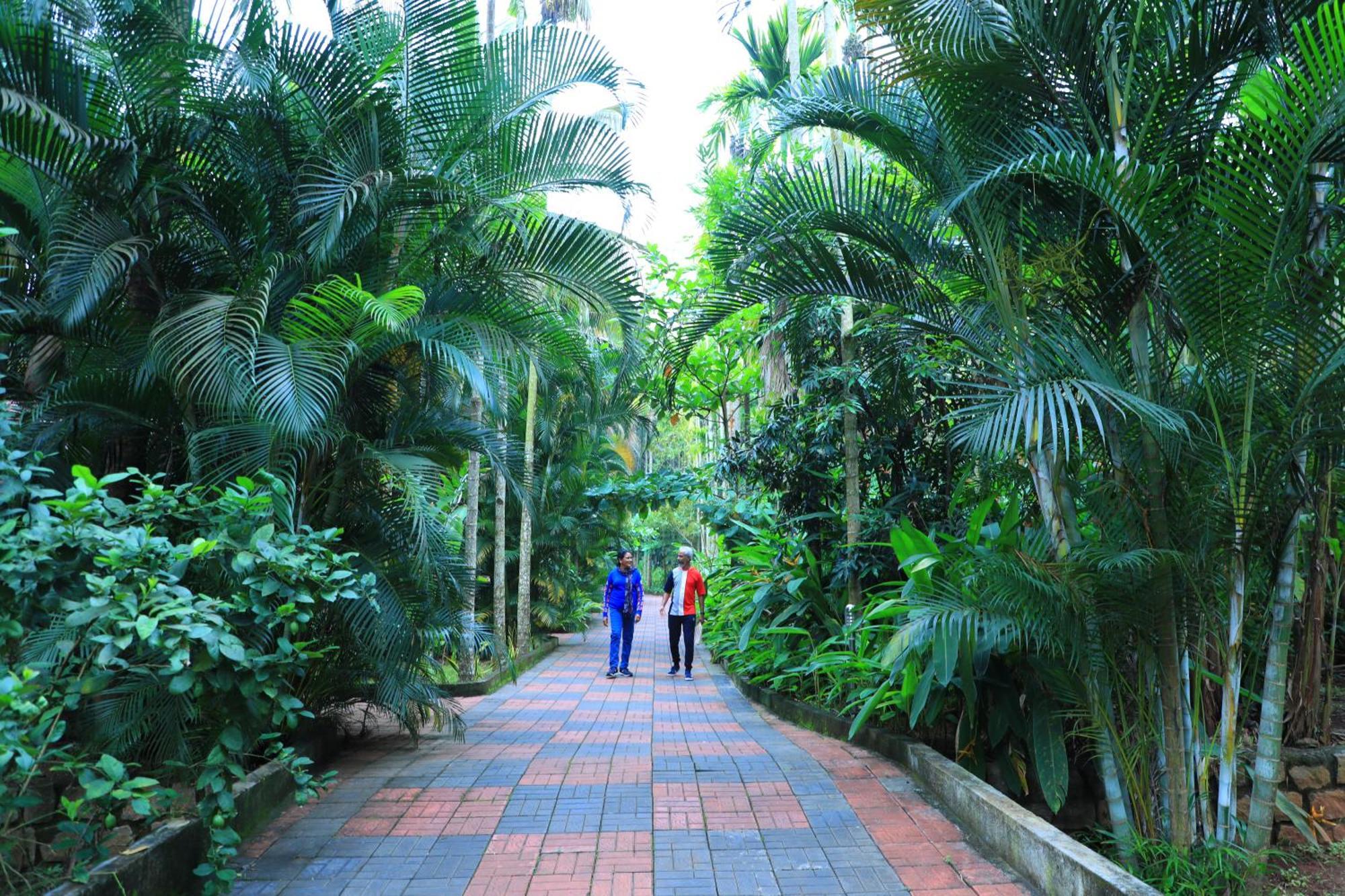 Parampara Resort & Spa, Coorg Kushālnagar Exterior foto